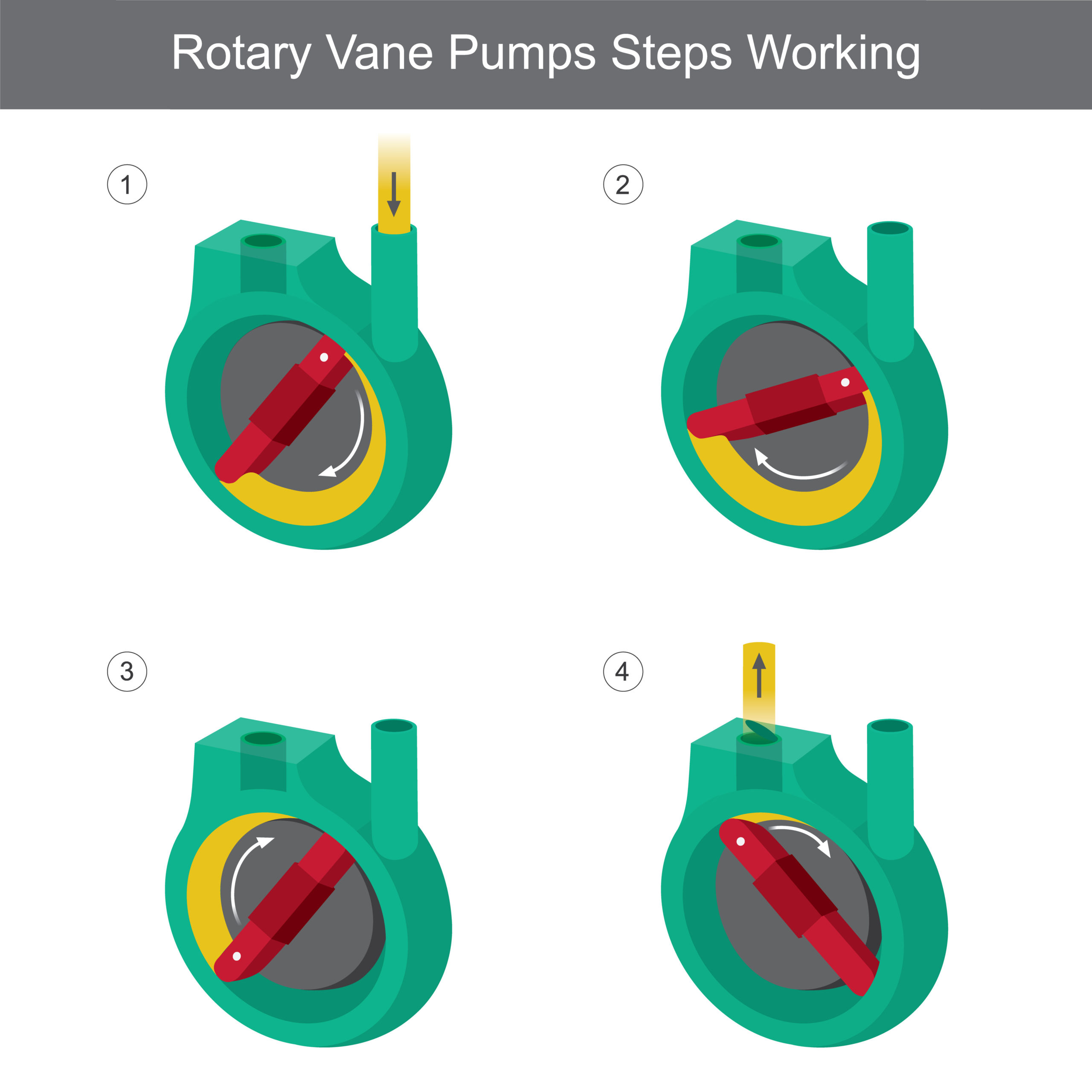 a four-step diagram showcasing how a rotary vane pump operates